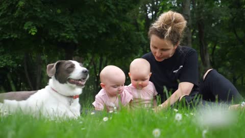 Happy Mother And Twin Babies Resting In Summer Park With Dog
