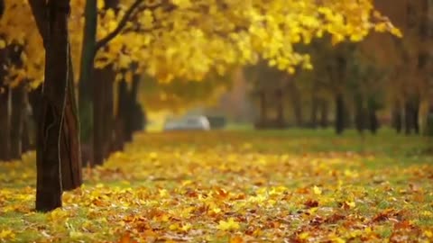 piano instrumental, sleep soundly