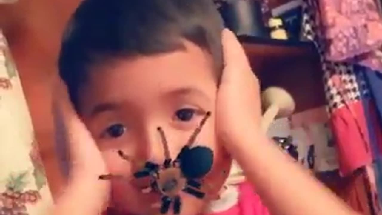 Funny video