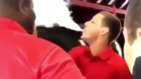 funny videos clean 2022