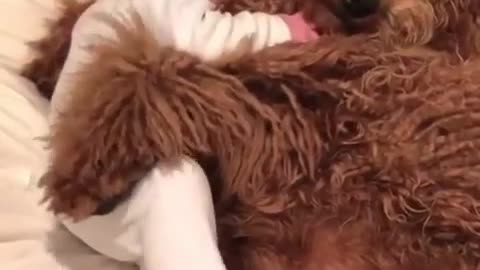 A child sleping with a dog and dreaming