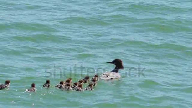 Sea baths