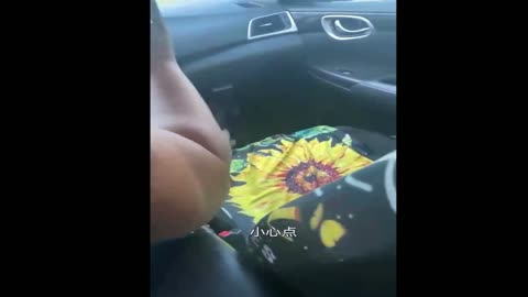 The dog signaled to the owner that he wanted to sit in the copilot, but he was refused.