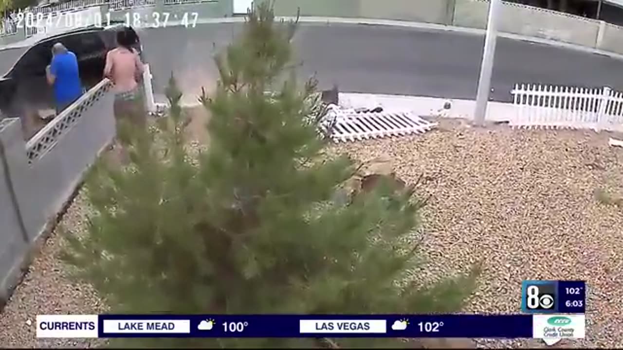 NEVADA Video shows driver run over boss in west Las Vegas neighborhood after being fired