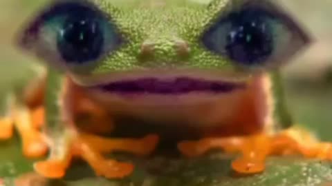 The froggie song from playschool 🐸