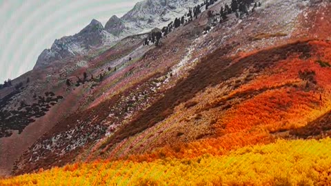 When I Get Ready...........