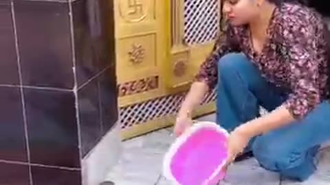 Anaya ka kachua