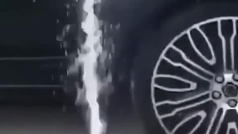 cute dog wach his car