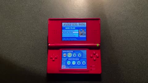 0249-Jugando: mariokart ds, desierto sol-sol, copa flor, 100cc, grand prix nitro
