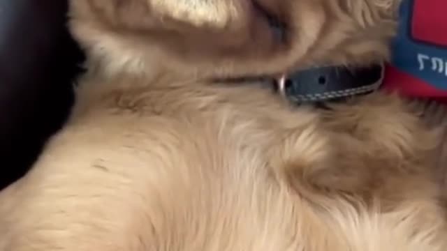 Is that what you did to me? Human! ?