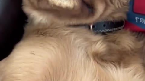 Is that what you did to me? Human! ?