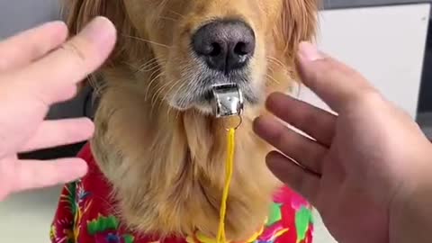 the way he opened his mouth