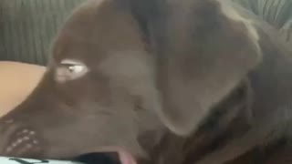 Watch Where You're Yawning!