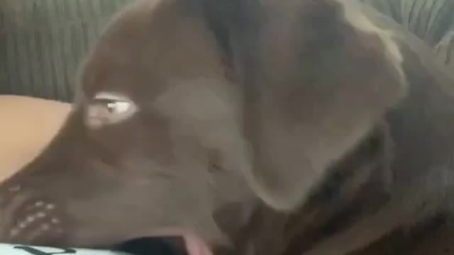 Watch Where You're Yawning!