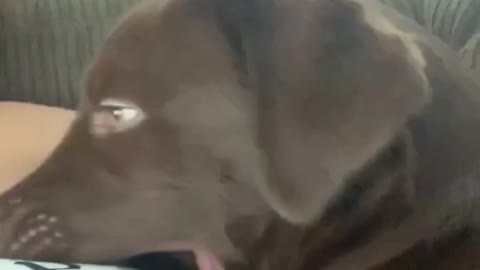 Watch Where You're Yawning!