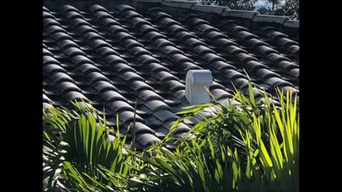 Amerigreen Janitorial LLC - (561) 229-8414
