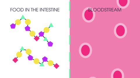What Are Proteins | Cells | Biology | FuseSchool