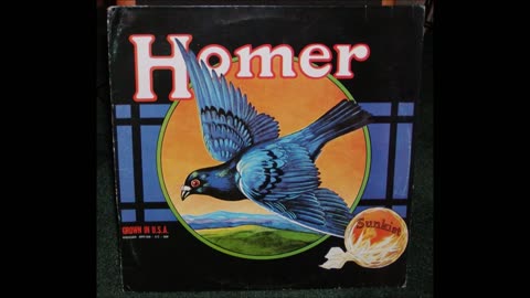 1970 Homer Grown in the USA Texas Garage Rock Full Album