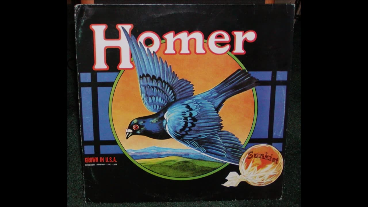 1970 Homer Grown in the USA Texas Garage Rock Full Album