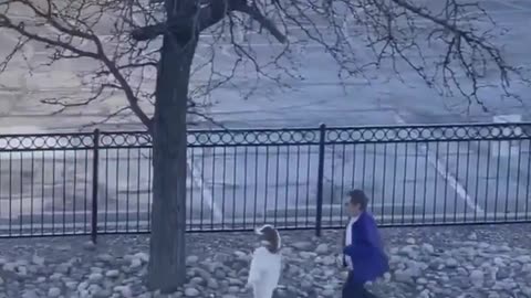 The meaning of 'lets take a walk"