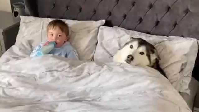 Dog refuses to leave bed and falls asleep while looking after little kid 🥺