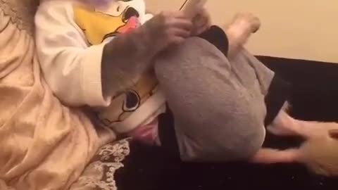 Do you want to have such a pet when you are happy?