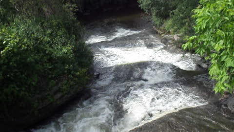 Black River runoff. Forestport, NY