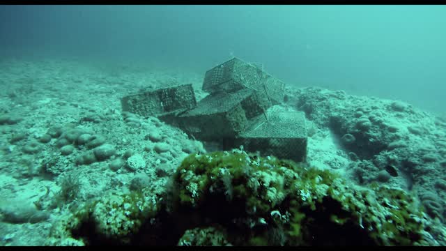 Mission Mediterranean - Marine Research Expeditions in 2020