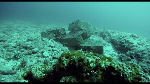 Mission Mediterranean - Marine Research Expeditions in 2020