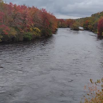 My Bear Sighting Story from A Bridge Above A Beautiful River, WalkinAndTalkinAcrossAmerica