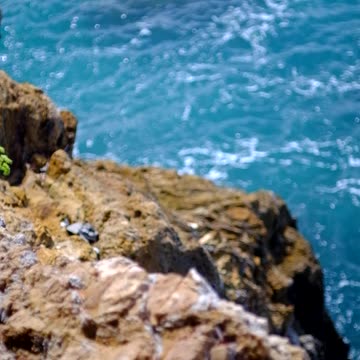 Fujifilm X-T1 with lenses: 7Artisans 55mm 1.4