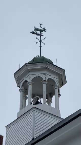Carrie the caribou doing weather