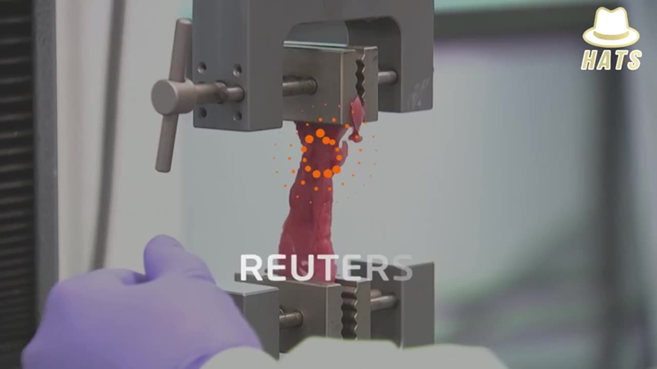 FUTURE OF CORNUCOPIA - 3D-PRINTED CHIMERIC GOO FOR THE MASSES