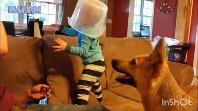 German Shepherd Protects Babies and Kids Compilation - The best Protection Dogs