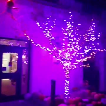 Omg, Spider and Halloween lighted trees. Year 2, Part 48