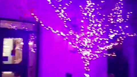 Omg, Spider and Halloween lighted trees. Year 2, Part 48