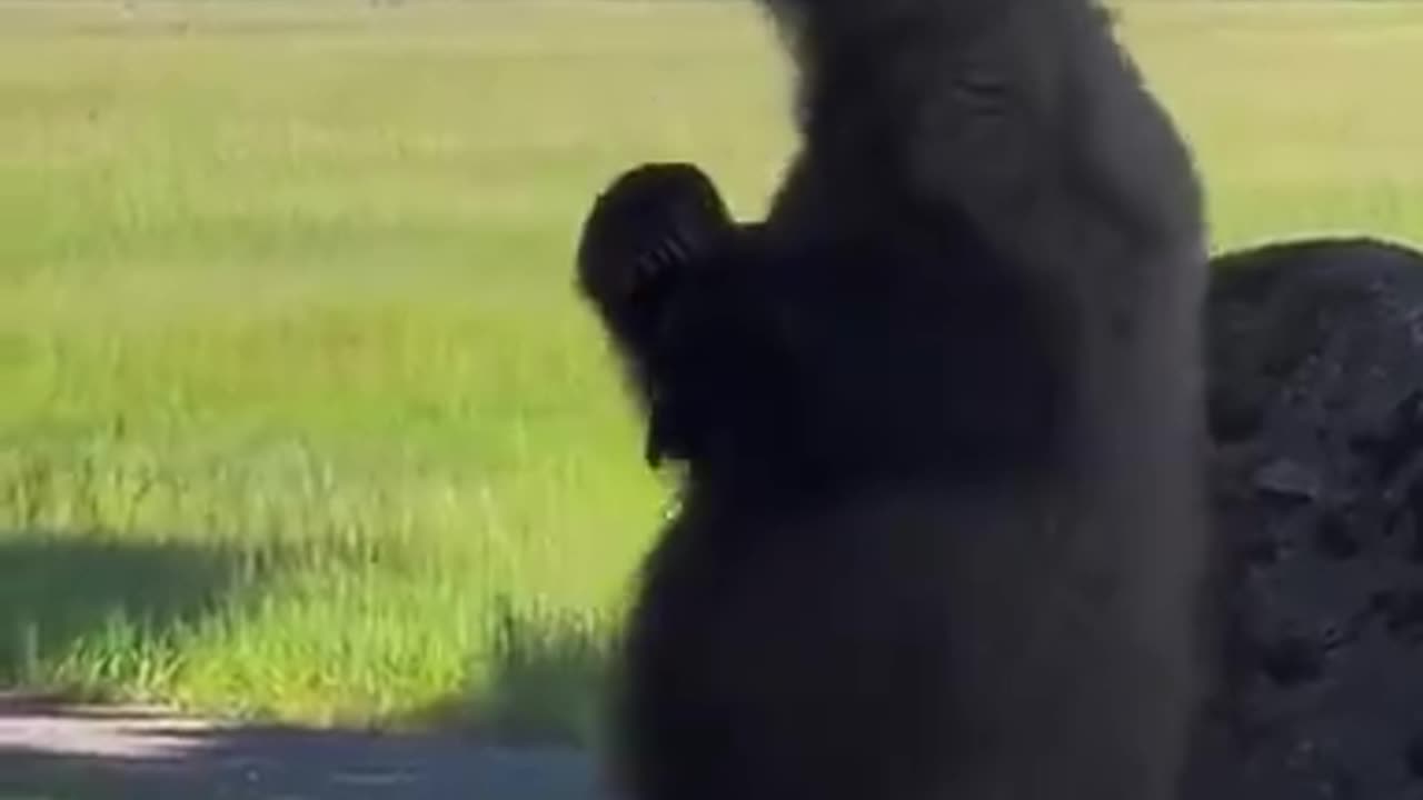 When you got an itch in need of a scratch!