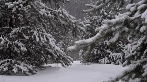 #snow #snowfall #reels #Awesome #view #Wow #feeling #trending #trendingreels 🙏