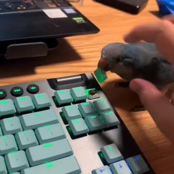 Well, pay attention to me