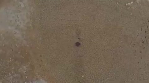 Justin. Începuturi. Eseu cinematografic de Andrei Negoiță