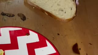 little mouse eating bread