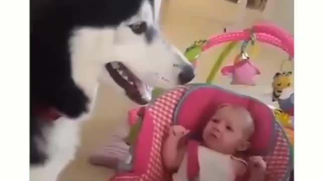 Cute baby funny and dog