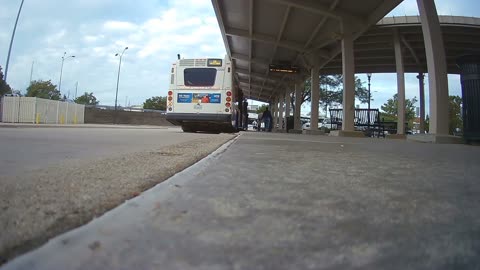 Midwest Bus Action, Cleveland, Illinois