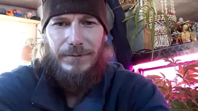 "AINT NOBODY GOING TO TELL ME HOW TO LIVE" CHEERS FROM ALASKA