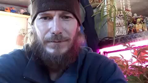 "AINT NOBODY GOING TO TELL ME HOW TO LIVE" CHEERS FROM ALASKA