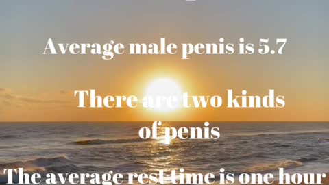 Male sex facts