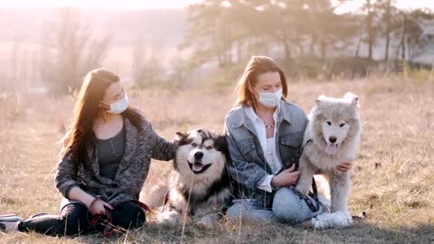 Happy Dogs