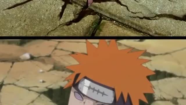 spoof Naruto Payne