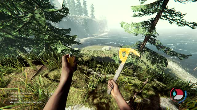 The Forest Pt.17