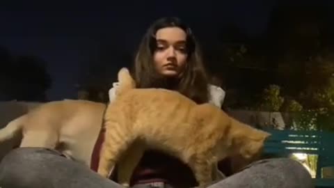 9.👍from tiktok @notmiraalhai #shorts